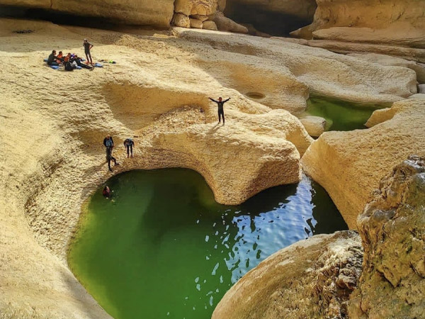 تور پارسیان